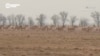 16x9 Image