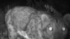 16x9 Image