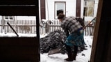 Siberia grab 3