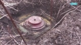 Страны Балтии выходят из договора, запрещающего противопехотные мины. Объясняем, почему они это делают