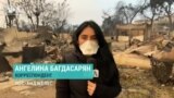Пожары в Лос-Анджелесе: апокалипсис по-голливудски