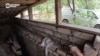 Украинские волонтеры рассказали, чем закончилась их встреча с российским военным в Украинске Донецкой области