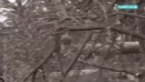 "Победных настроений нет". Военный аналитик – о том, что происходит с российской армией на кураховском направлении 